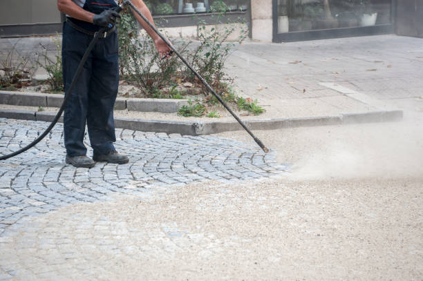 Best Sidewalk and Walkway Cleaning  in Zeigler, IL